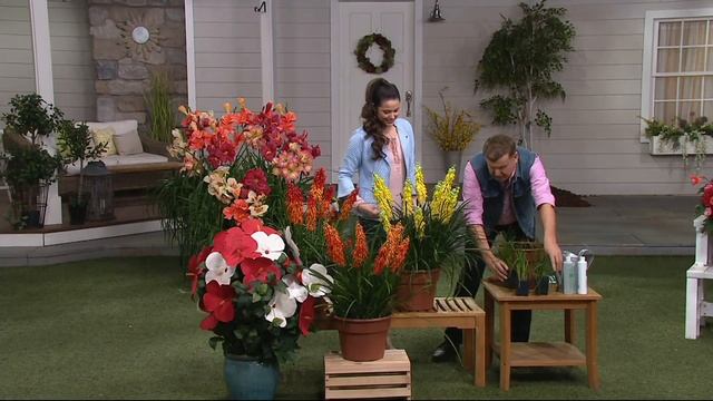 Roberta's 3-piece Popsicle Series Red Hot Pokers on QVC