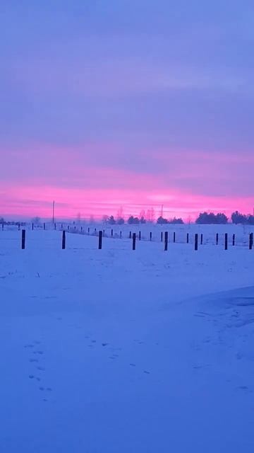 Розовый закат, мороз, -30°С❄❄#youtubeshorts #зима
