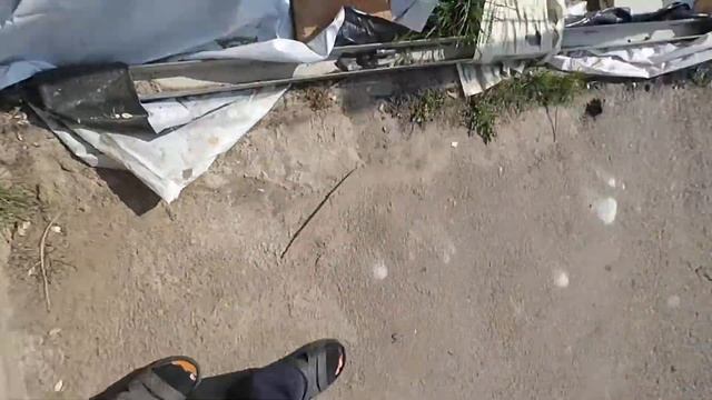 Криативні горшки для вазонів, ослин
