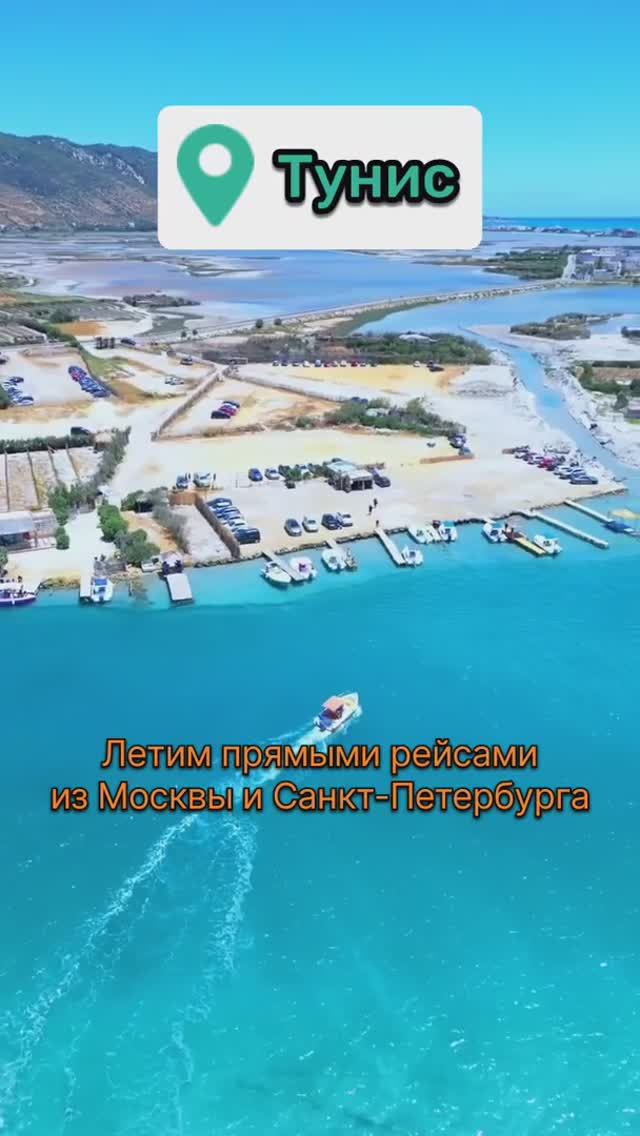 🔥 Туры в Тунис из Москвы и Санкт-Петербурга #тунис2025