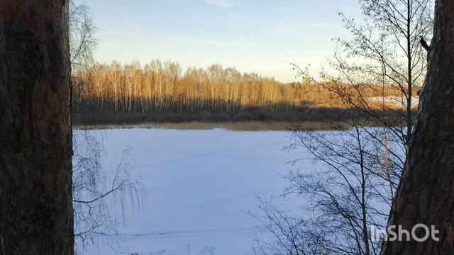 гуляем по гелёвской роще Тюмень