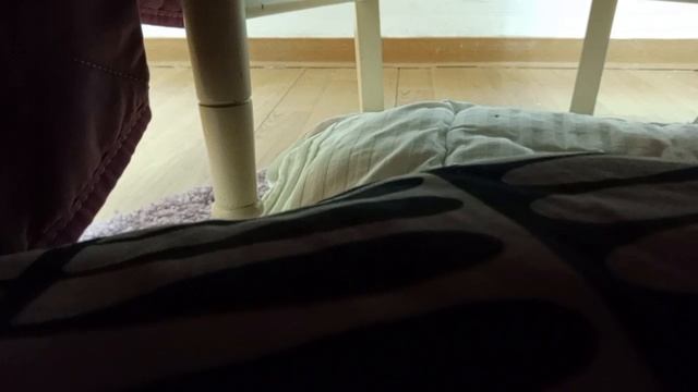 1000024950.mp4