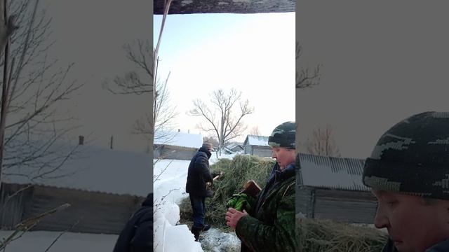 подкормка