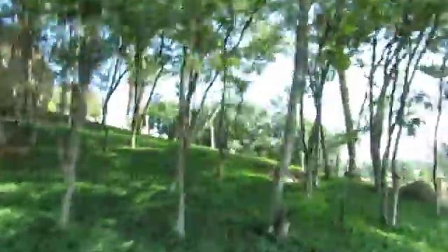 Thailand life garden -- ramoji film city