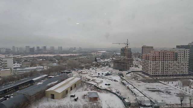 4317886, Полевая