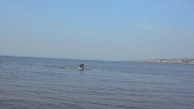 Море. ХВАТКА КАМЫ. Одесса. Роман-Кош Камелия Лавли Флавер.(Роман-Кош Баттерфляй-Лемар Моргенштерн)