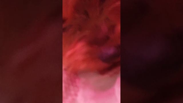 1000000567.mp4