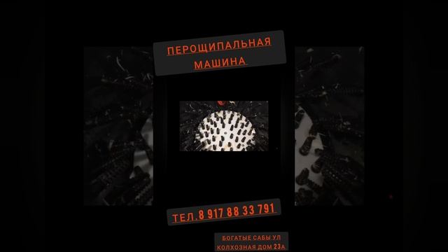 1000597029.mp4