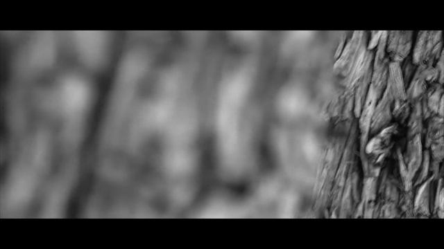 Black & White EOS Cinematic video FD 35-70mm 3.5