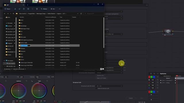 How to install LUTs in Davinci Resolve 19   Tutorial