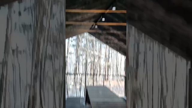Смотровая площадка "Царь-рыба"