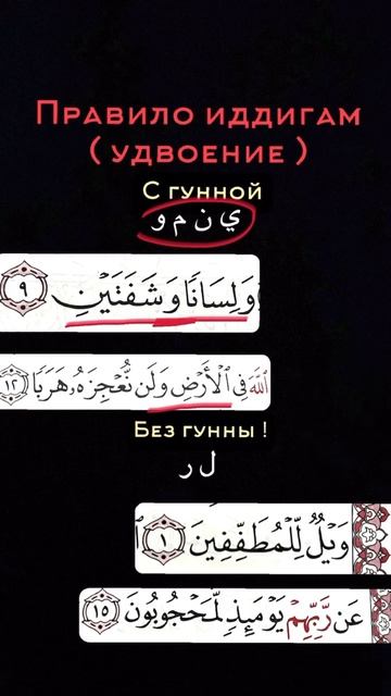 Правилы Таджвида - КОРАН (46)