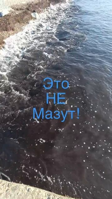 Это не мазут!