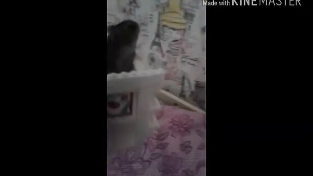 Пародия на большом воздушном шаре.