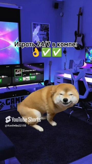 Тяжело погулять😮💨😓