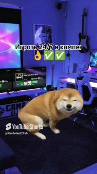 Тяжело погулять😮💨😓