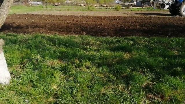 Готовимся к посевной 🌱пашем трактором землю 🚜кукурузу думаем больше не сажать