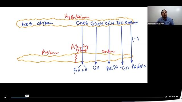 Mastering the USMLE: Dr Ibrahim Salah Eldin's Approach