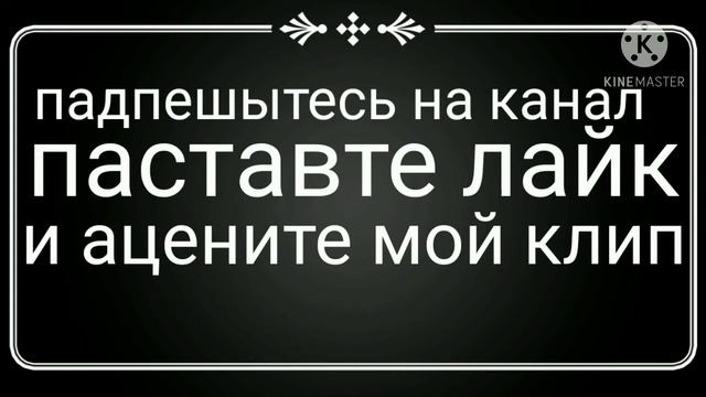 мая музыка силка в аписании на прилажение