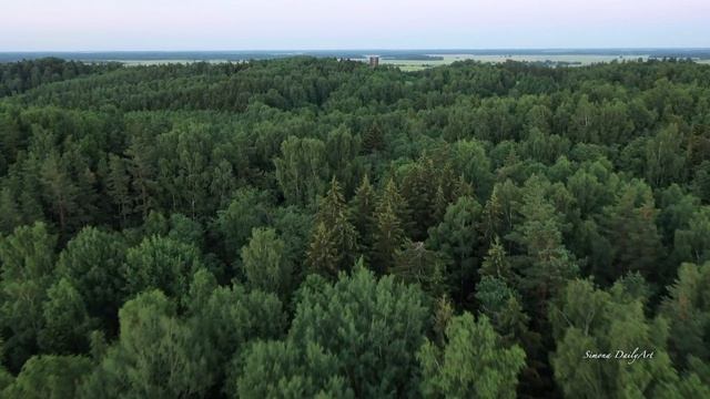 Šiaulės kalnas / Lithuanian nature / 4K video