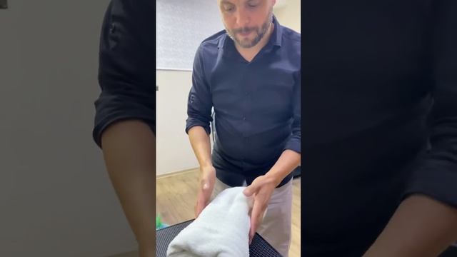 Как массировать котёнка или щенка