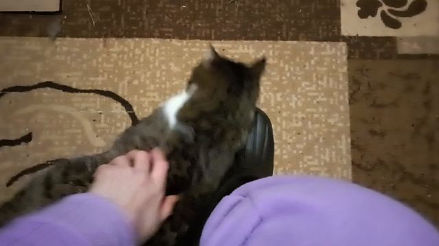 Носик ластится.mp4