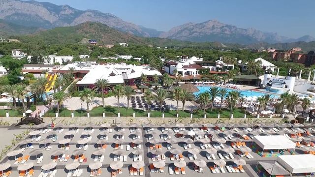 AR Drone Simena Sun club  "D" 2