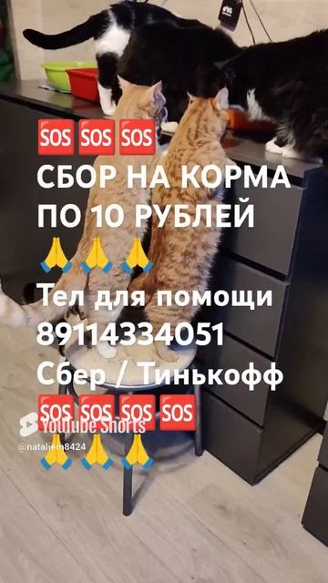 ЧЕЛОВЕК ПОМОГИ 🙏🆘
