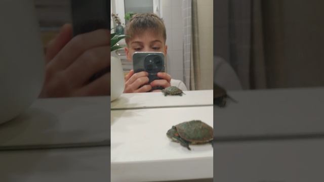 1000003535.mp4