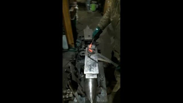Гусиная лапка