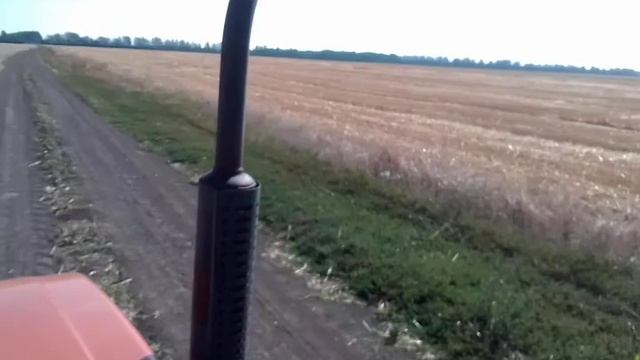 Кругом поля как