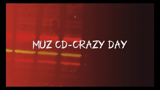 MUZ CD - crazy day