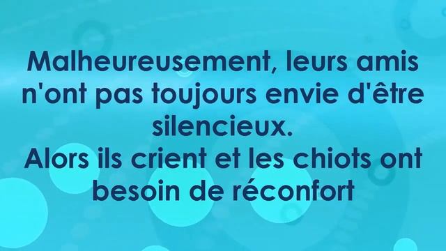 Lolo et Lili  French Level 1 Comprehension Reading with English subtitles