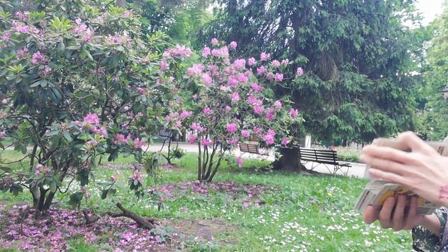 Какие отношения сейчас, какими будут 🍒