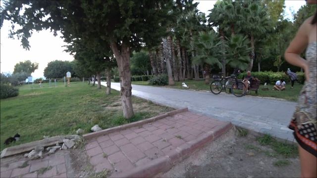 Анталья  кошачий рай