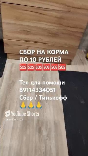 ЧЕЛОВЕК ПОМОГИ 🙏🆘
