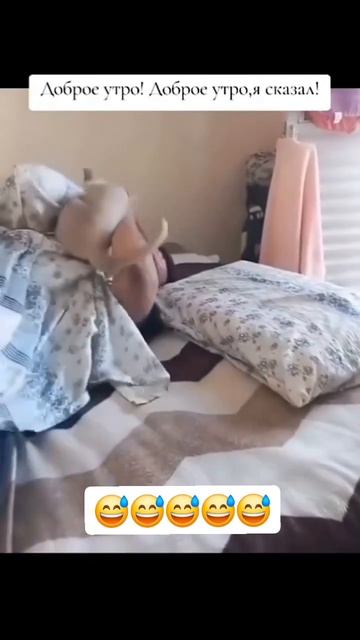 Ну доброе утро😂