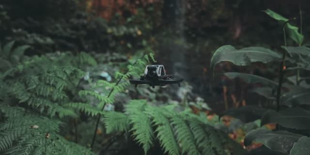 DJI AVATA - My Best Shots Cinematic FPV