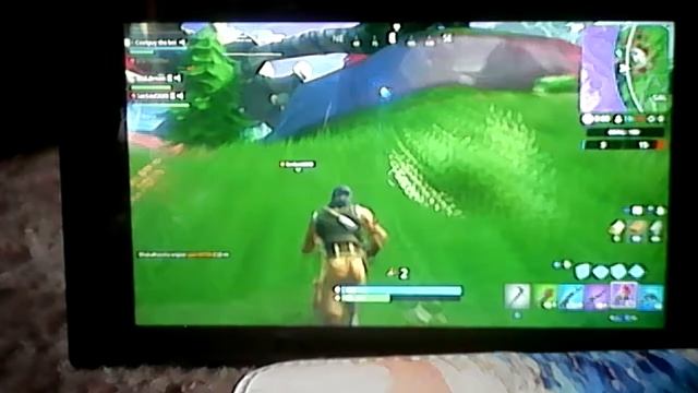 Nugget and lily play fortnite!