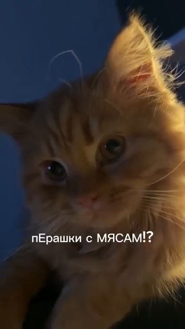 Покой нам только снится