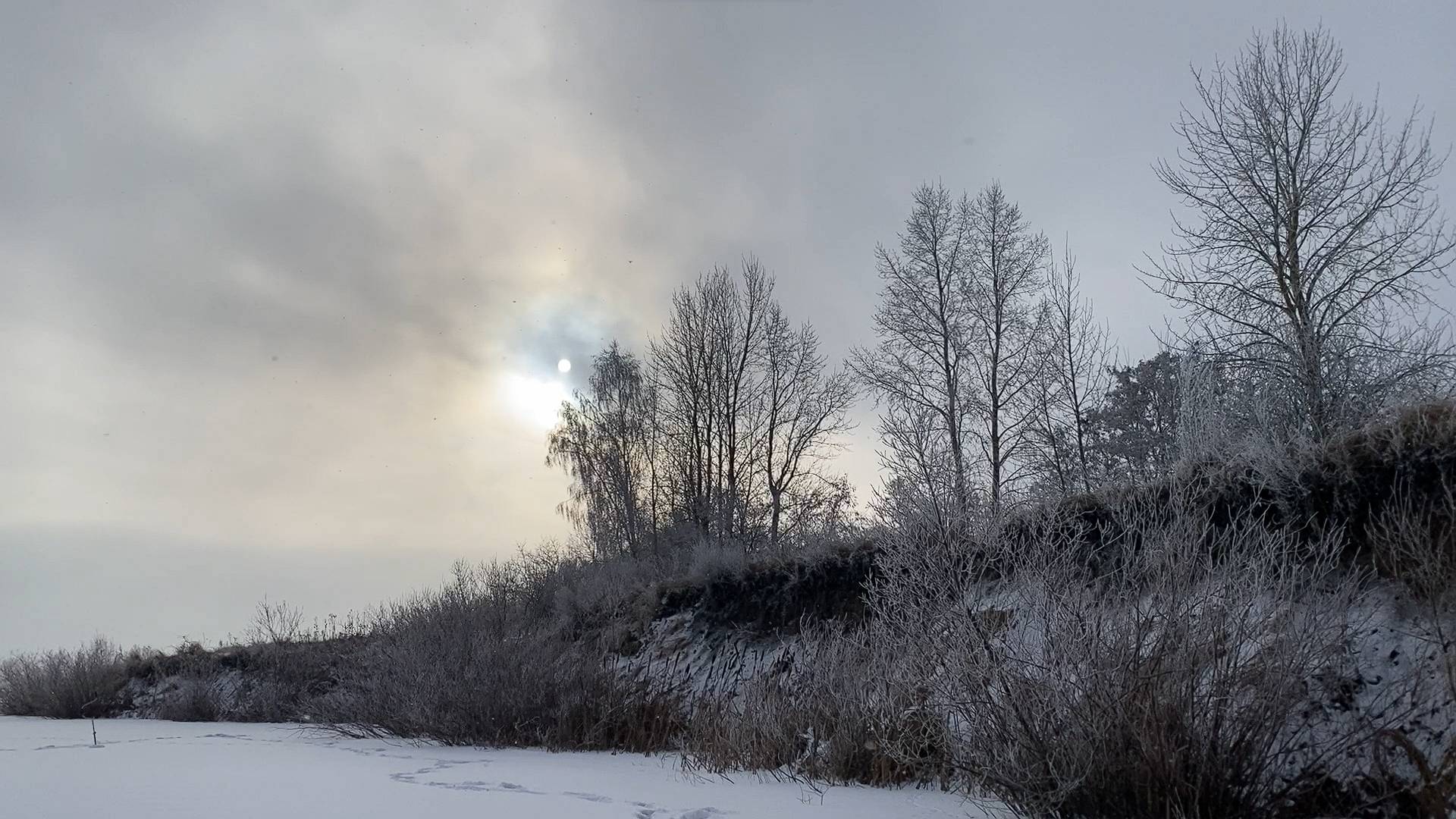 Неручь - Разнорыбица😄  09.02.2025  🧊❄️🥶🐟