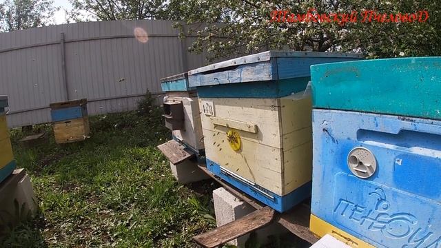 01 мая - ***, труд, май.