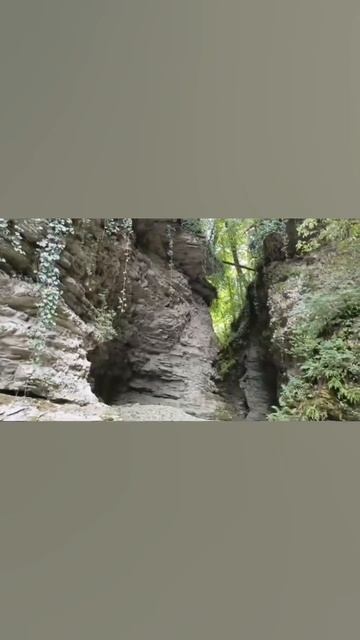 красота