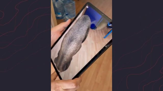 720p_ГК_Проще_Мобильное_приложение_с_дополненной_реальностью_для_Ульяновского музея