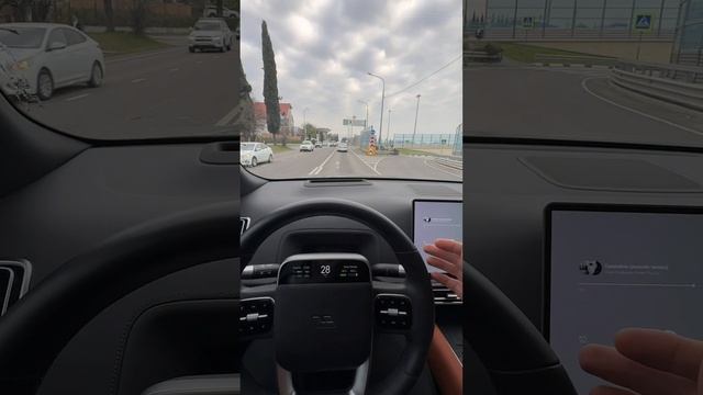У кого было также? Признавайтесь 

#lixiang #lixiangl9