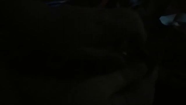 Видео про спринер и липучку