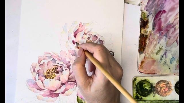 Рисую нежный пион ( ускоренное видео)
