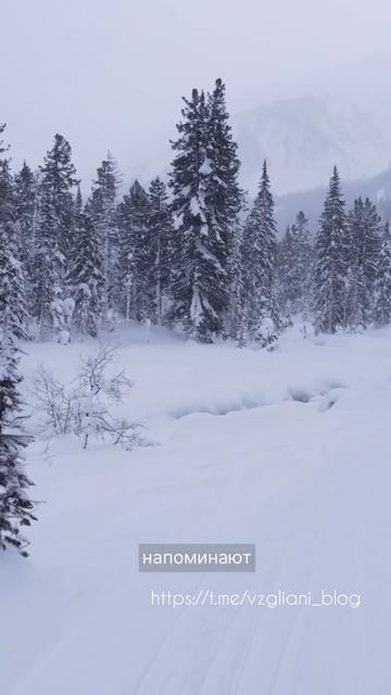 Гора Мамай, Республика Бурятия🏔🌲https://t.me/vzgliani_blog #travel #nature #video #like #winter