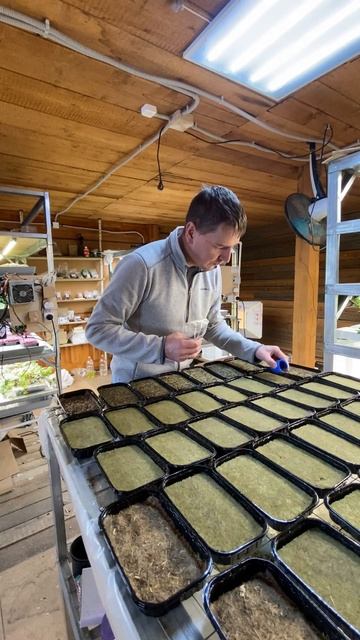 Рабочие будни