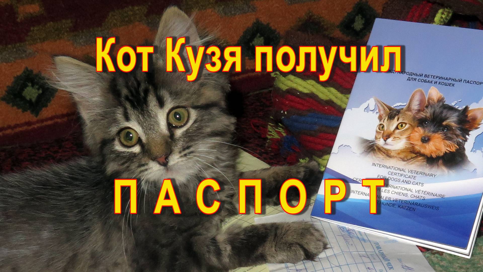 05-Кот Кузя